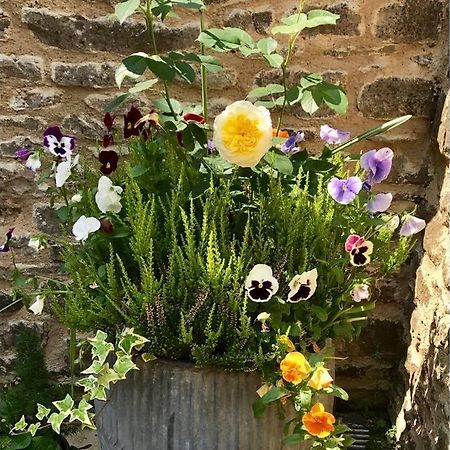 Oxfordshire Living - The Bowler Hat Cottage - Woodstock Zewnętrze zdjęcie
