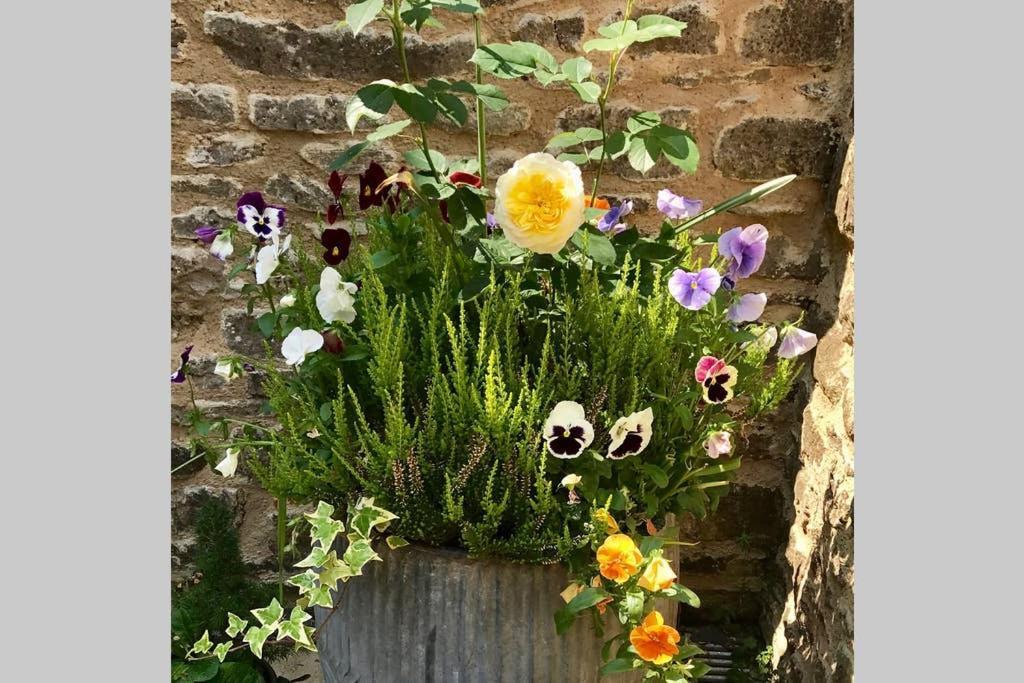 Oxfordshire Living - The Bowler Hat Cottage - Woodstock Zewnętrze zdjęcie